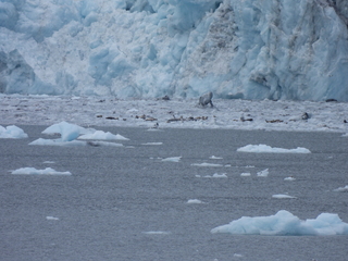 Filename=DSCN5709.JPG
Filesize=7138KiB
Dimensions=4608x3456
Date added=May 12, 2025 DSCN5709.JPG