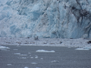 Filename=DSCN5712.JPG
Filesize=6643KiB
Dimensions=4608x3456
Date added=May 12, 2025 DSCN5712.JPG