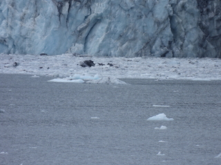 Filename=DSCN5713.JPG
Filesize=7344KiB
Dimensions=4608x3456
Date added=May 12, 2025 DSCN5713.JPG