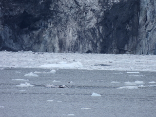 Filename=DSCN5715.JPG
Filesize=6588KiB
Dimensions=4608x3456
Date added=May 12, 2025 DSCN5715.JPG