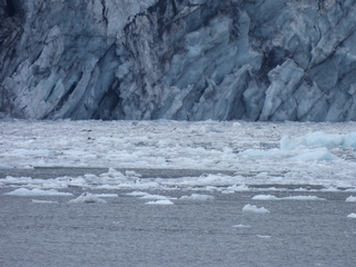 Filename=DSCN5717.JPG
Filesize=6278KiB
Dimensions=4608x3456
Date added=May 12, 2025 DSCN5717.JPG