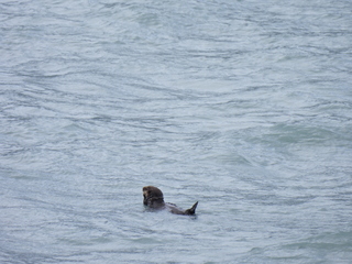 Filename=DSCN5728.JPG
Filesize=6473KiB
Dimensions=4608x3456
Date added=May 12, 2025 DSCN5728.JPG