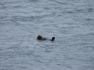 Filename=DSCN5732.JPG
Filesize=6893KiB
Dimensions=4608x3456
Date added=May 12, 2025 DSCN5732.JPG