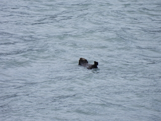 Filename=DSCN5733.JPG
Filesize=6650KiB
Dimensions=4608x3456
Date added=May 12, 2025 DSCN5733.JPG