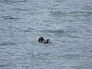 Filename=DSCN5734.JPG
Filesize=6512KiB
Dimensions=4608x3456
Date added=May 12, 2025 DSCN5734.JPG