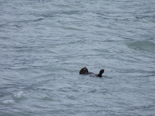 Filename=DSCN5735.JPG
Filesize=6083KiB
Dimensions=4608x3456
Date added=May 12, 2025 DSCN5735.JPG