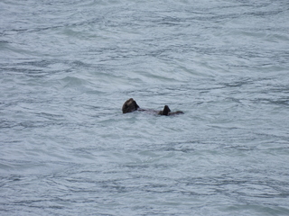 Filename=DSCN5737.JPG
Filesize=7347KiB
Dimensions=4608x3456
Date added=May 12, 2025 DSCN5737.JPG