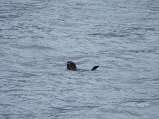 Filename=DSCN5738.JPG
Filesize=6777KiB
Dimensions=4608x3456
Date added=May 12, 2025 DSCN5738.JPG