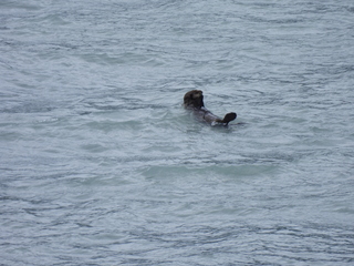 Filename=DSCN5740.JPG
Filesize=6786KiB
Dimensions=4608x3456
Date added=May 12, 2025 DSCN5740.JPG