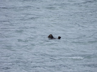 Filename=DSCN5741.JPG
Filesize=6548KiB
Dimensions=4608x3456
Date added=May 12, 2025 DSCN5741.JPG