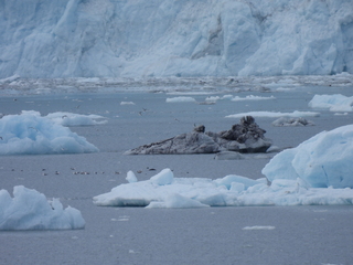 Filename=DSCN5744.JPG
Filesize=6096KiB
Dimensions=4608x3456
Date added=May 12, 2025 DSCN5744.JPG