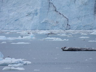 Filename=DSCN5745.JPG
Filesize=6463KiB
Dimensions=4608x3456
Date added=May 12, 2025 DSCN5745.JPG