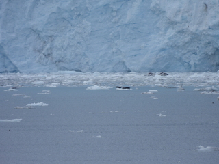 Filename=DSCN5746.JPG
Filesize=6037KiB
Dimensions=4608x3456
Date added=May 12, 2025 DSCN5746.JPG