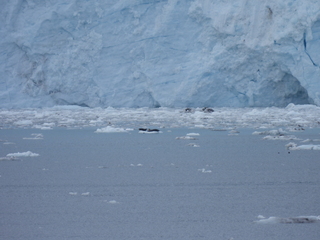 Filename=DSCN5747.JPG
Filesize=6095KiB
Dimensions=4608x3456
Date added=May 12, 2025 DSCN5747.JPG