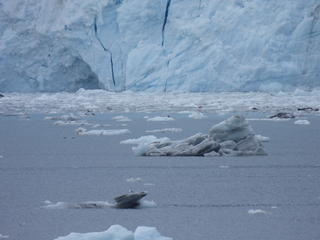 Filename=DSCN5748.JPG
Filesize=6362KiB
Dimensions=4608x3456
Date added=May 12, 2025 DSCN5748.JPG