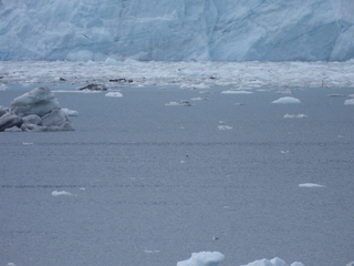 Filename=DSCN5749.JPG
Filesize=6620KiB
Dimensions=4608x3456
Date added=May 12, 2025 DSCN5749.JPG