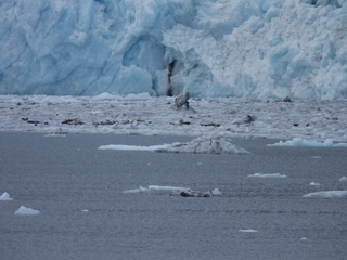 Filename=DSCN5753.JPG
Filesize=6403KiB
Dimensions=4608x3456
Date added=May 12, 2025 DSCN5753.JPG