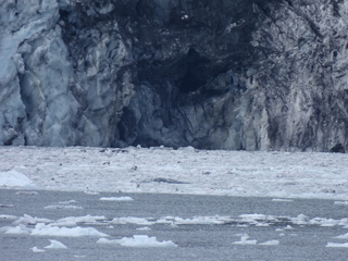 Filename=DSCN5755.JPG
Filesize=6254KiB
Dimensions=4608x3456
Date added=May 12, 2025 DSCN5755.JPG