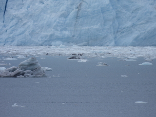 Filename=DSCN5757.JPG
Filesize=6287KiB
Dimensions=4608x3456
Date added=May 12, 2025 DSCN5757.JPG