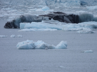 Filename=DSCN5758.JPG
Filesize=6428KiB
Dimensions=4608x3456
Date added=May 12, 2025 DSCN5758.JPG