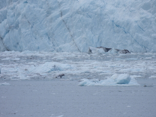 Filename=DSCN5759.JPG
Filesize=6577KiB
Dimensions=4608x3456
Date added=May 12, 2025 DSCN5759.JPG