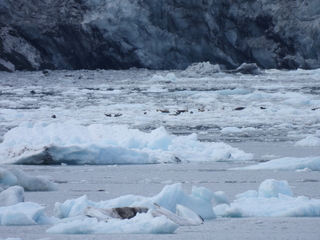 Filename=DSCN5762.JPG
Filesize=6934KiB
Dimensions=4608x3456
Date added=May 12, 2025 DSCN5762.JPG