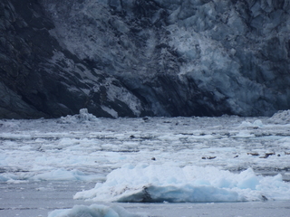 Filename=DSCN5764.JPG
Filesize=7068KiB
Dimensions=4608x3456
Date added=May 12, 2025 DSCN5764.JPG