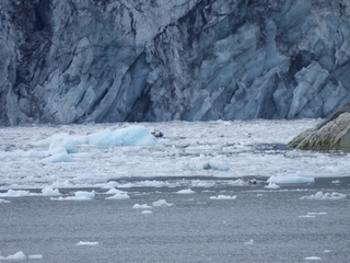 Filename=DSCN5780.JPG
Filesize=6561KiB
Dimensions=4608x3456
Date added=May 12, 2025 DSCN5780.JPG