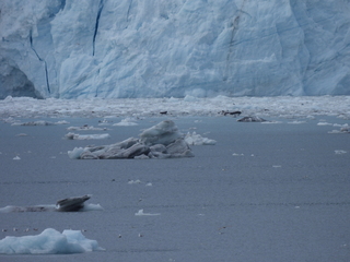 Filename=DSCN5781.JPG
Filesize=6162KiB
Dimensions=4608x3456
Date added=May 12, 2025 DSCN5781.JPG