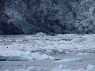 Filename=DSCN5782.JPG
Filesize=6853KiB
Dimensions=4608x3456
Date added=May 12, 2025 DSCN5782.JPG