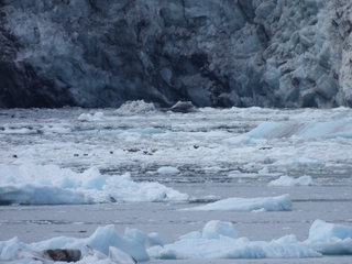 Filename=DSCN5783.JPG
Filesize=6908KiB
Dimensions=4608x3456
Date added=May 12, 2025 DSCN5783.JPG