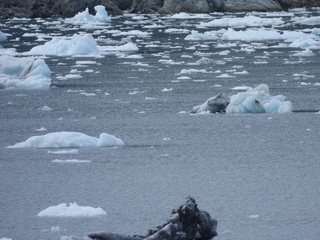 Filename=DSCN5787.JPG
Filesize=6721KiB
Dimensions=4608x3456
Date added=May 12, 2025 DSCN5787.JPG