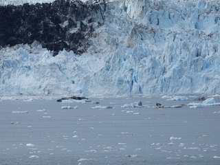 Filename=DSCN5807.JPG
Filesize=6567KiB
Dimensions=4608x3456
Date added=May 12, 2025 DSCN5807.JPG