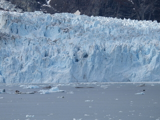 Filename=DSCN5808.JPG
Filesize=6588KiB
Dimensions=4608x3456
Date added=May 12, 2025 DSCN5808.JPG