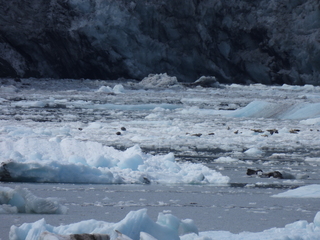 Filename=DSCN5815.JPG
Filesize=6836KiB
Dimensions=4608x3456
Date added=May 12, 2025 DSCN5815.JPG