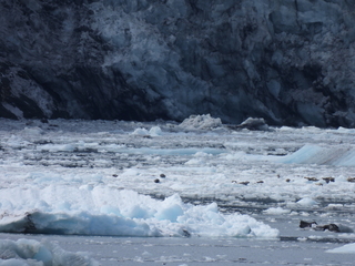 Filename=DSCN5816.JPG
Filesize=7120KiB
Dimensions=4608x3456
Date added=May 12, 2025 DSCN5816.JPG