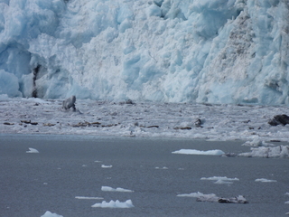 Filename=DSCN5829.JPG
Filesize=6780KiB
Dimensions=4608x3456
Date added=May 12, 2025 DSCN5829.JPG