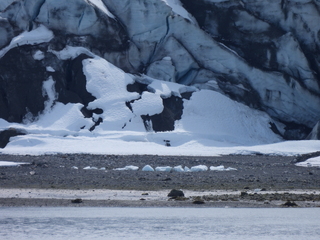 Filename=DSCN5973.JPG
Filesize=7389KiB
Dimensions=4608x3456
Date added=May 12, 2025 DSCN5973.JPG