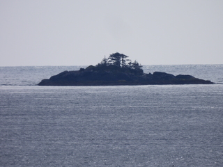 Filename=DSCN6003.JPG
Filesize=7059KiB
Dimensions=4608x3456
Date added=May 12, 2025 DSCN6003.JPG