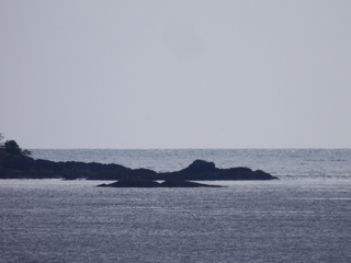 Filename=DSCN6004.JPG
Filesize=6188KiB
Dimensions=4608x3456
Date added=May 12, 2025 DSCN6004.JPG