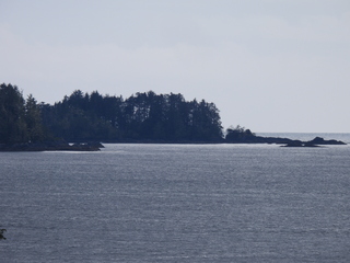 Filename=DSCN6006.JPG
Filesize=6387KiB
Dimensions=4608x3456
Date added=May 12, 2025 DSCN6006.JPG