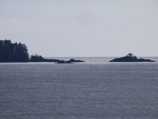 Filename=DSCN6007.JPG
Filesize=7396KiB
Dimensions=4608x3456
Date added=May 12, 2025 DSCN6007.JPG