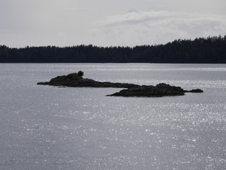 Filename=DSCN6008.JPG
Filesize=6888KiB
Dimensions=4608x3456
Date added=May 12, 2025 DSCN6008.JPG