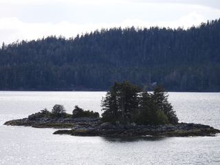 Filename=DSCN6009.JPG
Filesize=6609KiB
Dimensions=4608x3456
Date added=May 12, 2025 DSCN6009.JPG