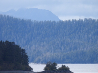 Filename=DSCN6016.JPG
Filesize=6565KiB
Dimensions=4608x3456
Date added=May 12, 2025 DSCN6016.JPG