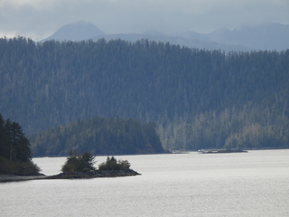 Filename=DSCN6023.JPG
Filesize=7000KiB
Dimensions=4608x3456
Date added=May 12, 2025 DSCN6023.JPG