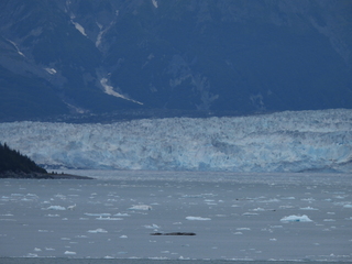 Filename=DSCN6478.JPG
Filesize=5833KiB
Dimensions=4608x3456
Date added=Aug 30, 2025 DSCN6478.JPG