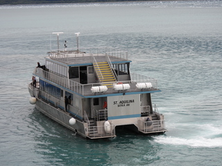 Filename=DSCN6485.JPG
Filesize=7002KiB
Dimensions=4608x3456
Date added=Aug 30, 2025 DSCN6485.JPG