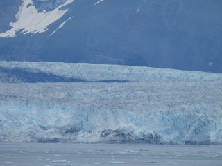 Filename=DSCN6491.JPG
Filesize=6261KiB
Dimensions=4608x3456
Date added=Aug 30, 2025 DSCN6491.JPG