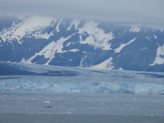 Filename=DSCN6496.JPG
Filesize=6619KiB
Dimensions=4608x3456
Date added=Aug 30, 2025 DSCN6496.JPG